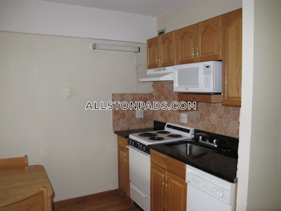 Allston Apartment for rent Studio 1 Bath Boston - $2,100