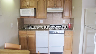 Allston Apartment for rent Studio 1 Bath Boston - $2,150