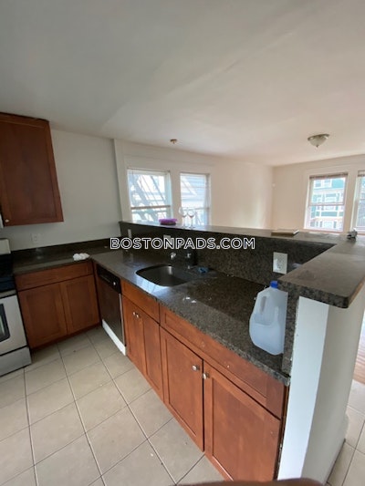 Roxbury 3 Beds 1 Bath Boston - $3,400 No Fee