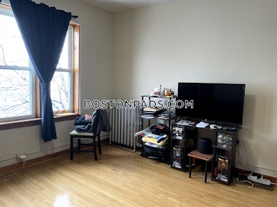 Allston Apartment for rent 1 Bedroom 1 Bath Boston - $2,500