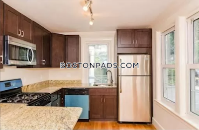 Brighton Apartment for rent 1 Bedroom 1 Bath Boston - $2,700