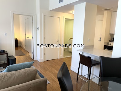 Downtown Apartment for rent 1 Bedroom 1 Bath Boston - $3,000