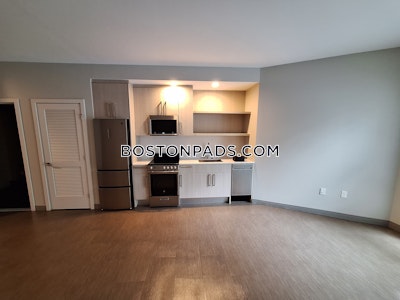 Jamaica Plain Studio  baths Luxury in BOSTON Boston - $3,465