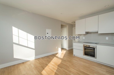 Brighton Apartment for rent 1 Bedroom 1 Bath Boston - $2,650