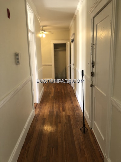 Brighton Apartment for rent 1 Bedroom 1 Bath Boston - $2,175