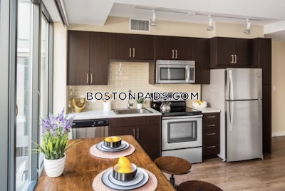 Downtown Studio  Luxury in BOSTON Boston - $2,870