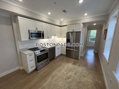 Brighton Apartment for rent 2 Bedrooms 1 Bath Boston - $3,175 No Fee