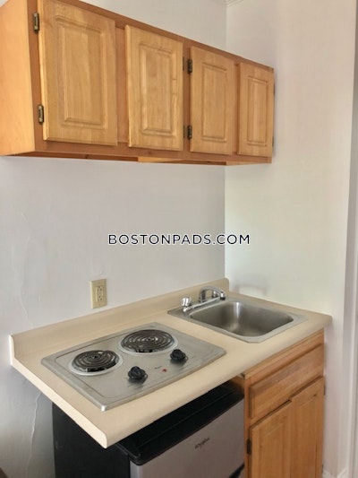 Brookline Studio 1 Bath  Longwood Area - $1,795